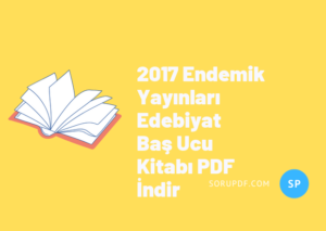 2017 Endemik Yayınları Edebiyat Baş Ucu Kitabı PDF İndir