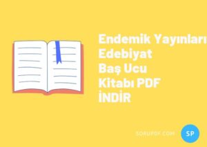 Endemik Yayınları Edebiyat Baş Ucu Kitabı PDF İNDİR