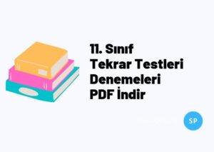 11. Sınıf Tekrar Testleri Denemeleri PDF İndir