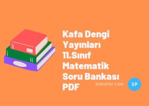 Kafa Dengi Yayınları 11.Sınıf Matematik Soru Bankası PDF