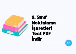 9. Sınıf Noktalama İşaretleri Test PDF İndir